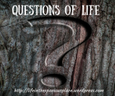 questions-of-life