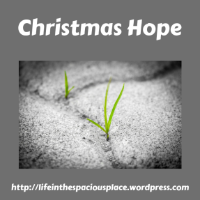 Christmas Hope...